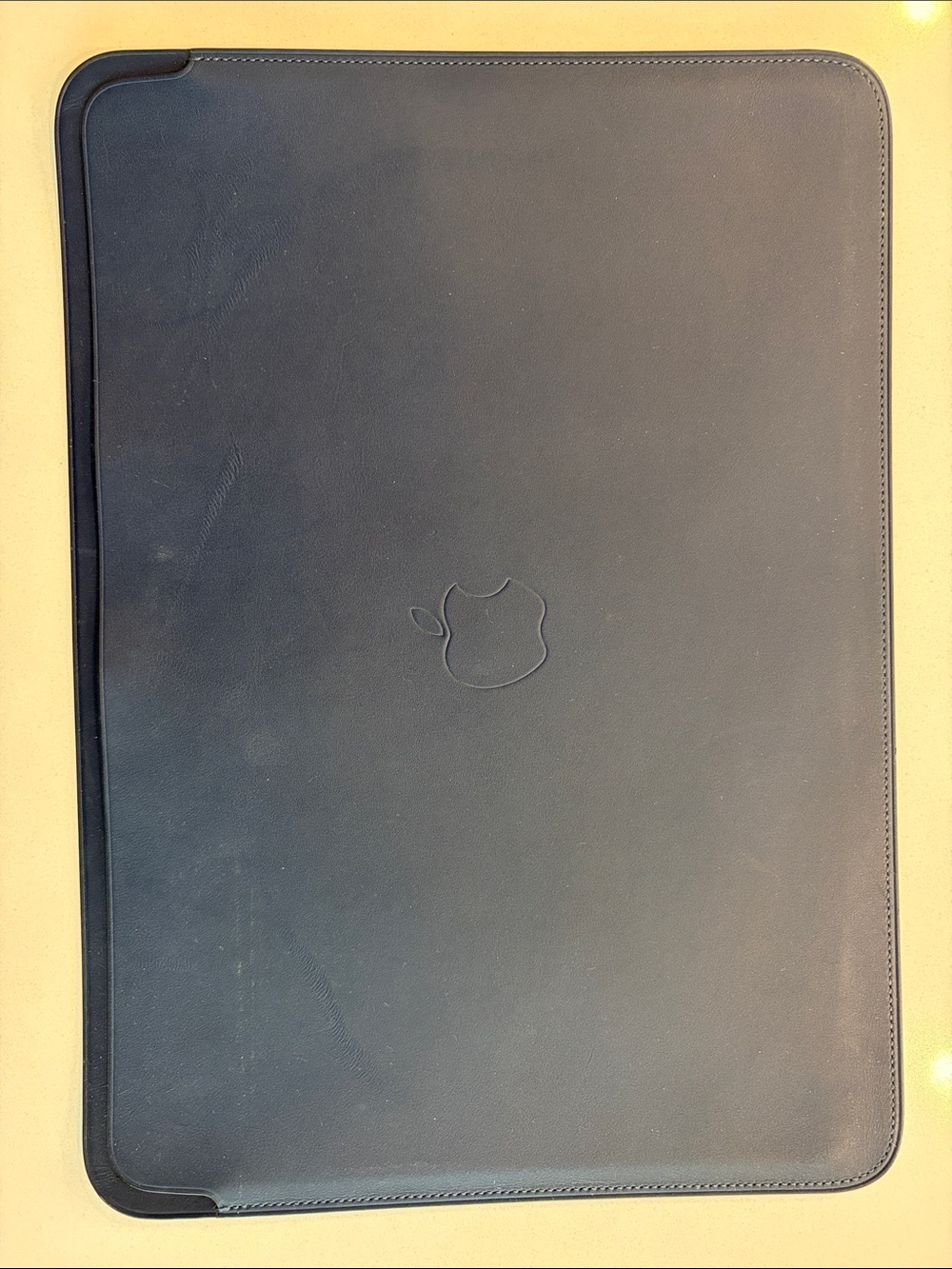 Apple Leather Laptop Sleeve - Blue